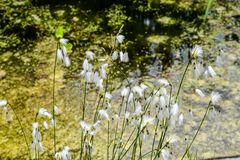 botanischer Garten 02-DSC_5083