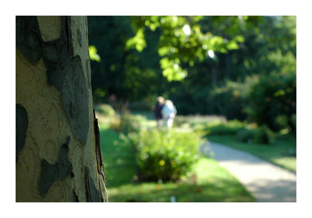 botanischer garten