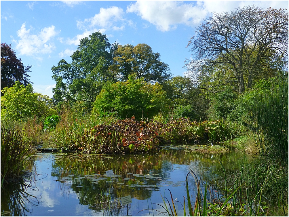 Botanischer Garten