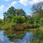 Botanischer Garten