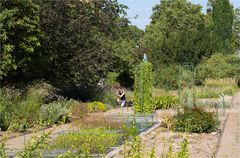 Botanischer Garten