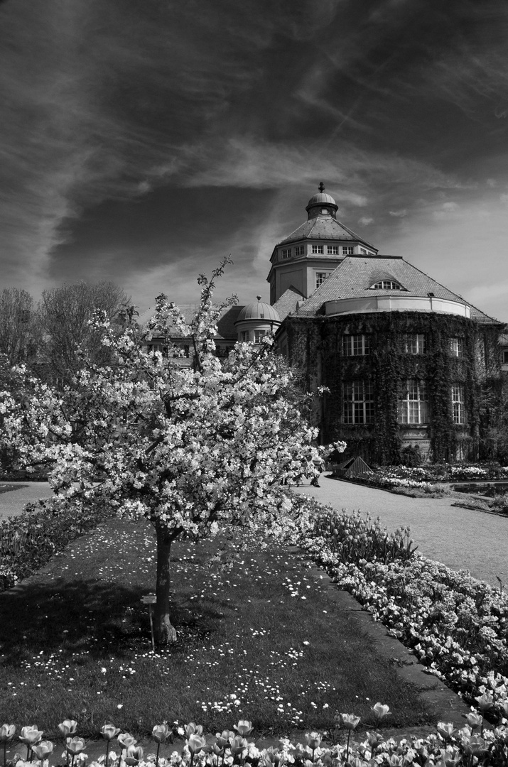 Botanischer Garten - 1