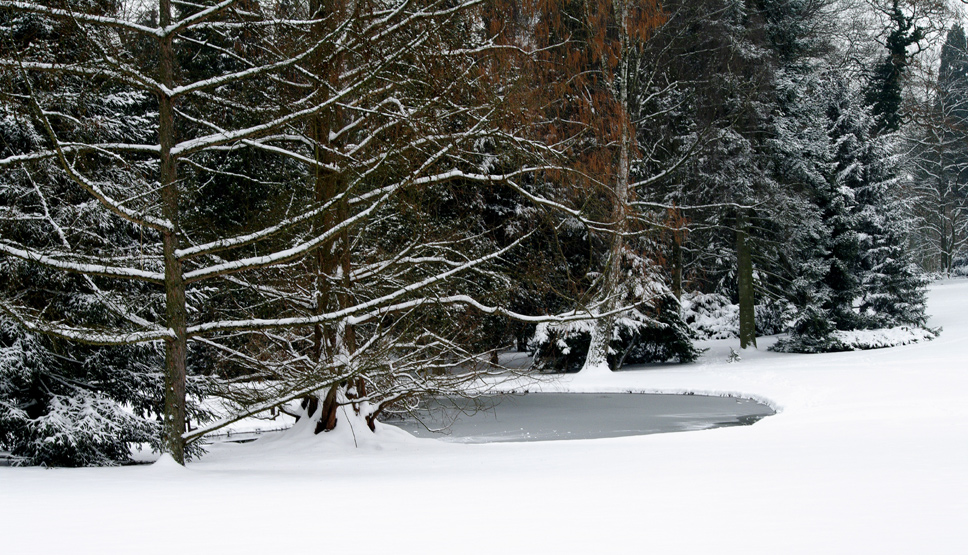 botanischer Garten 10