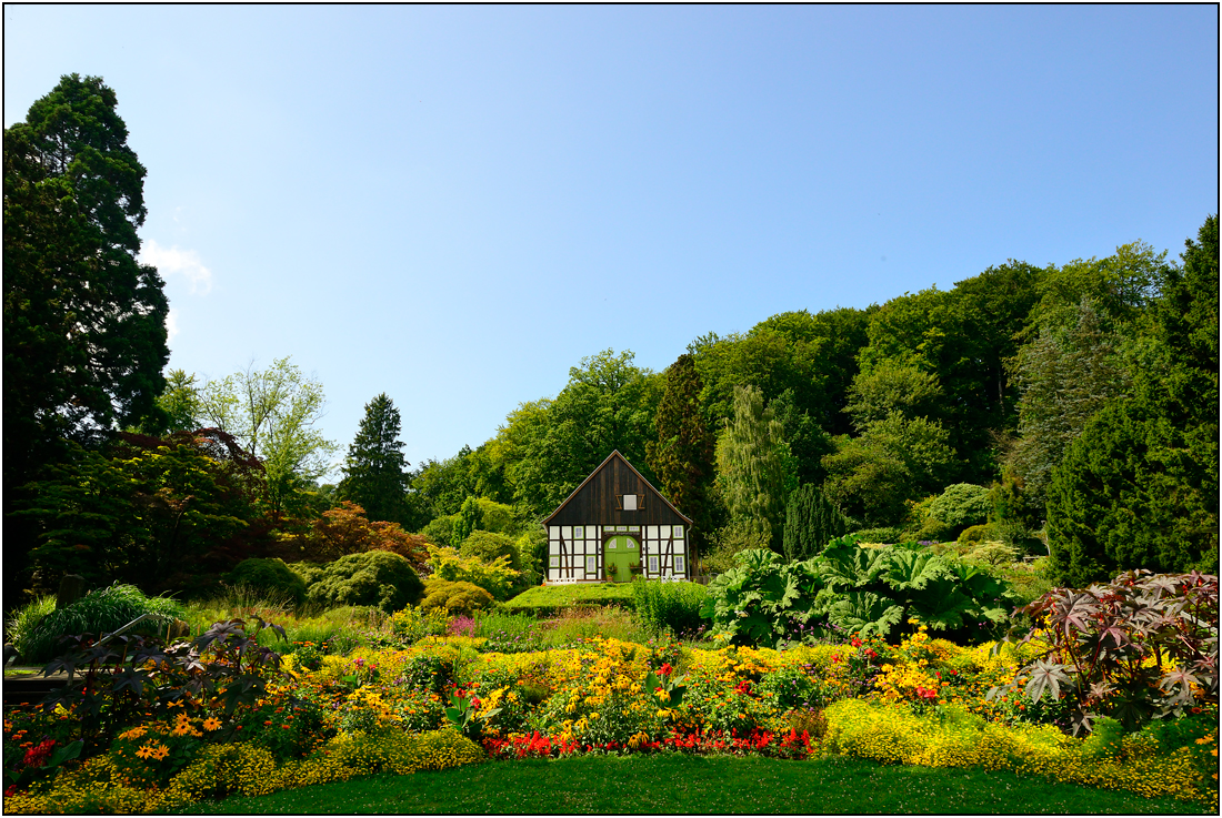 Botanischer Garten