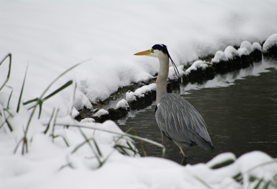 botanischer Garten 12