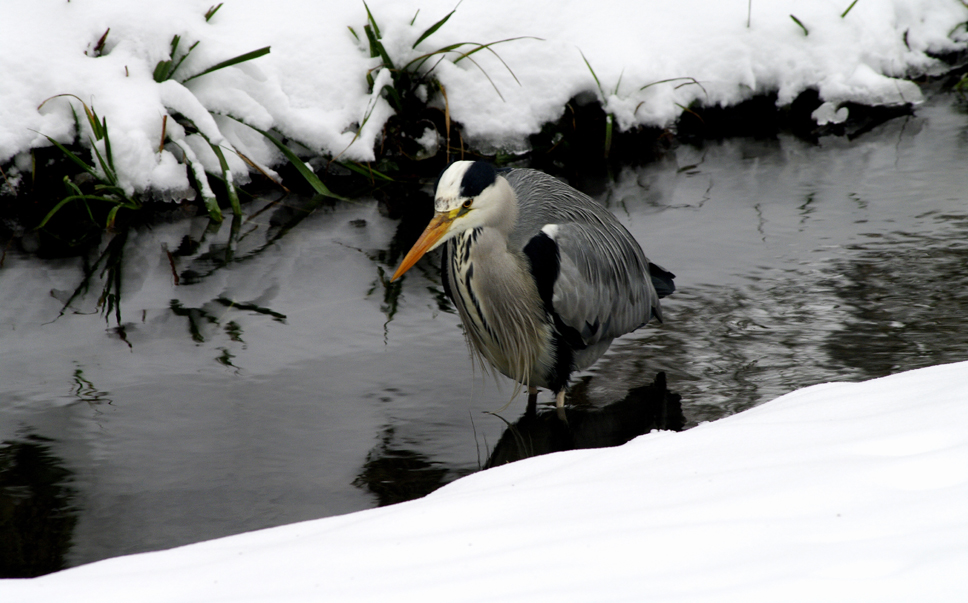 botanischer Garten 13