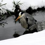 botanischer Garten 13