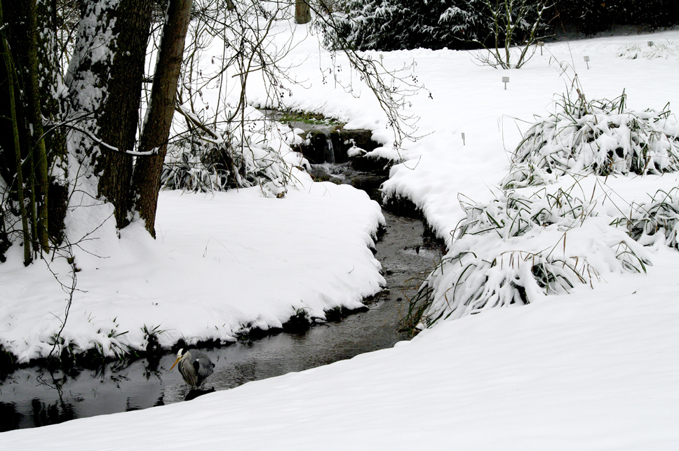 botanischer Garten 15