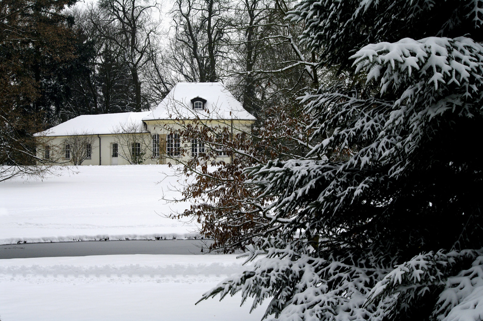 botanischer Garten 2