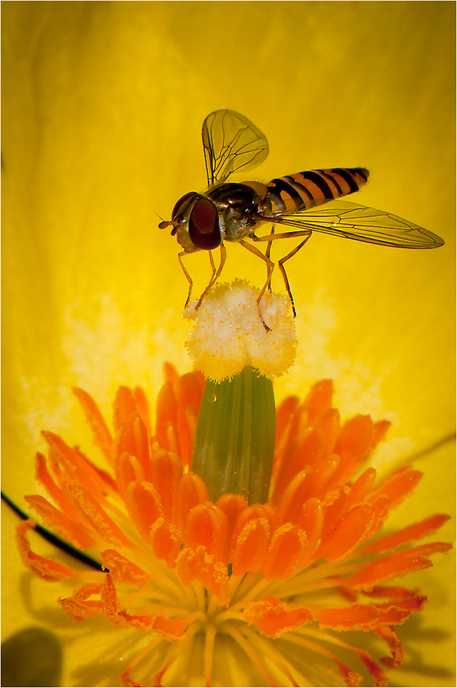 Botanischer Garten 2