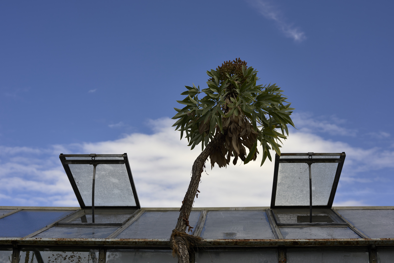 Botanischer Garten