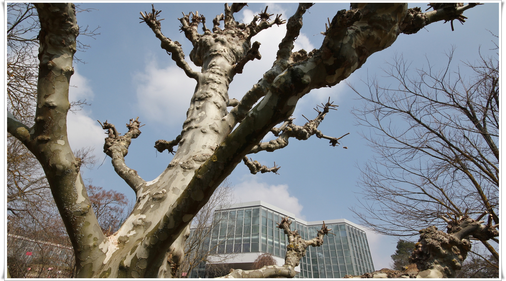 botanischer Garten