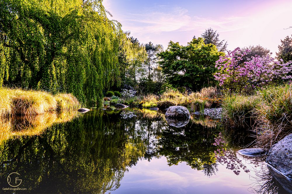 Botanischer Garten