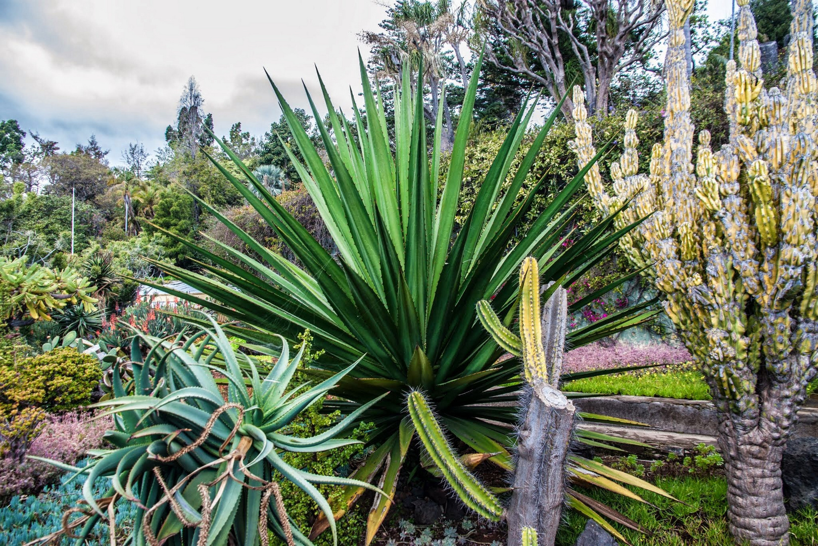 Botanischer Garten