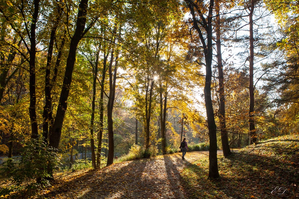 Botanischer Garten 3