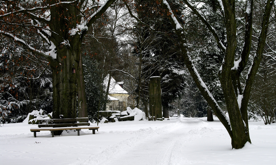 botanischer Garten 3