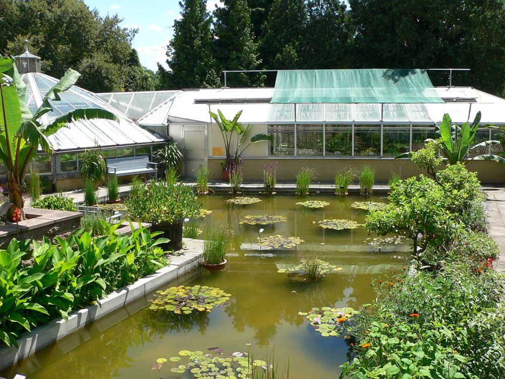 Botanischer Garten