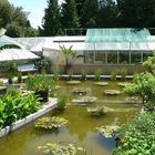 Botanischer Garten