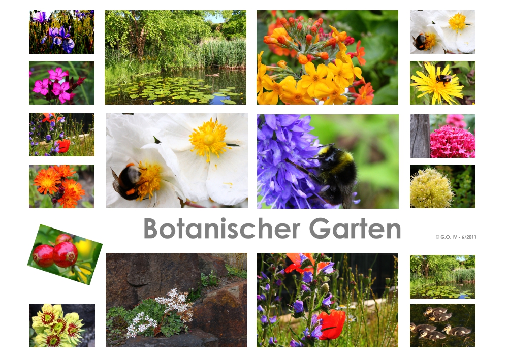 Botanischer Garten