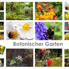 Botanischer Garten