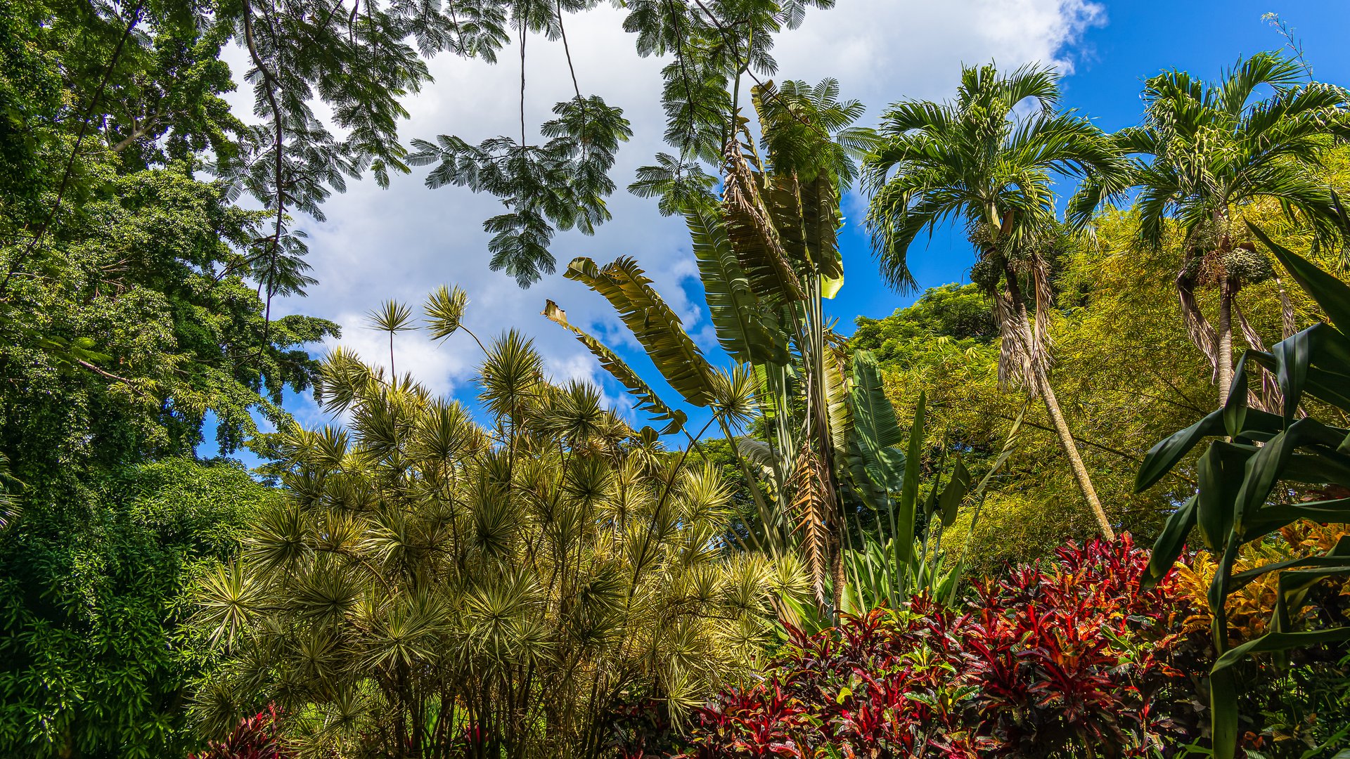 botanischer garten