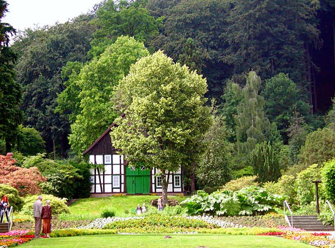 botanischer Garten