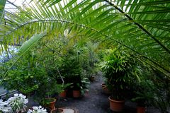 Botanischer Garten #4