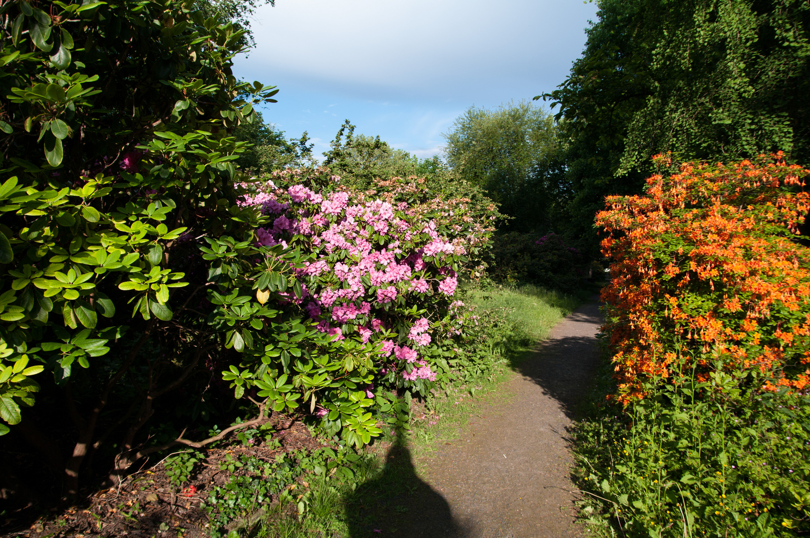 Botanischer Garten