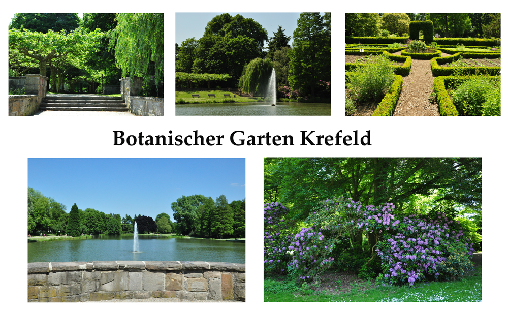 Botanischer Garten