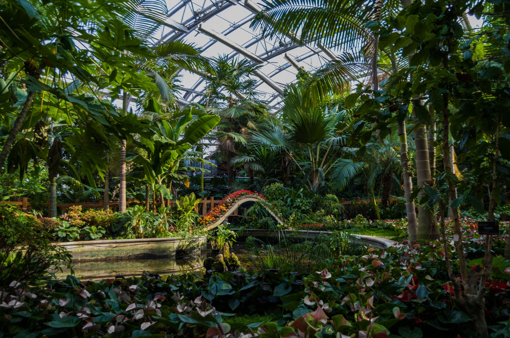 Botanischer Garten