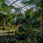 Botanischer Garten