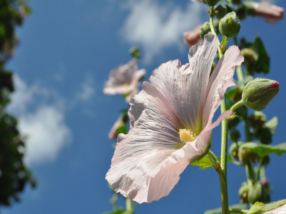 Botanischer Garten 6