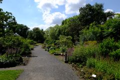 Botanischer Garten #6