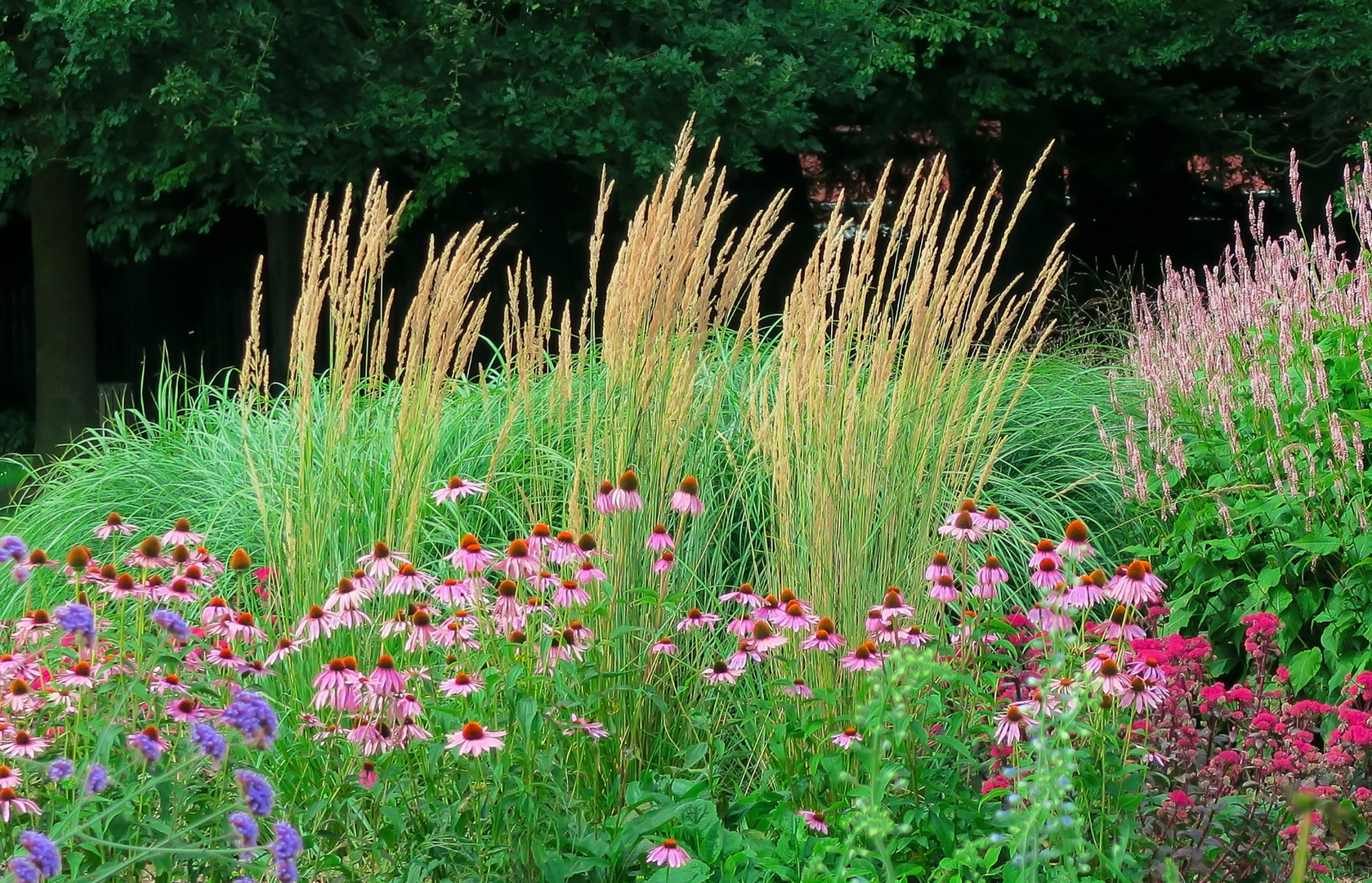 Botanischer-Garten