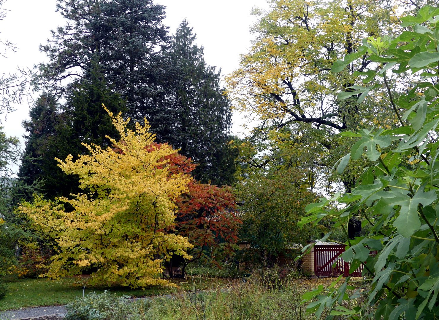 Botanischer Garten