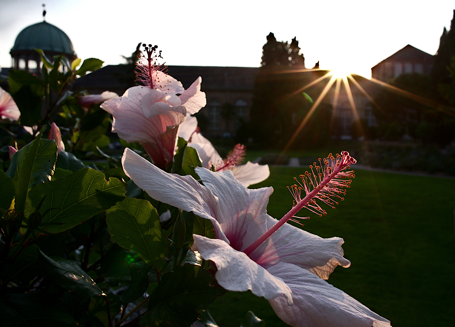 Botanischer Garten