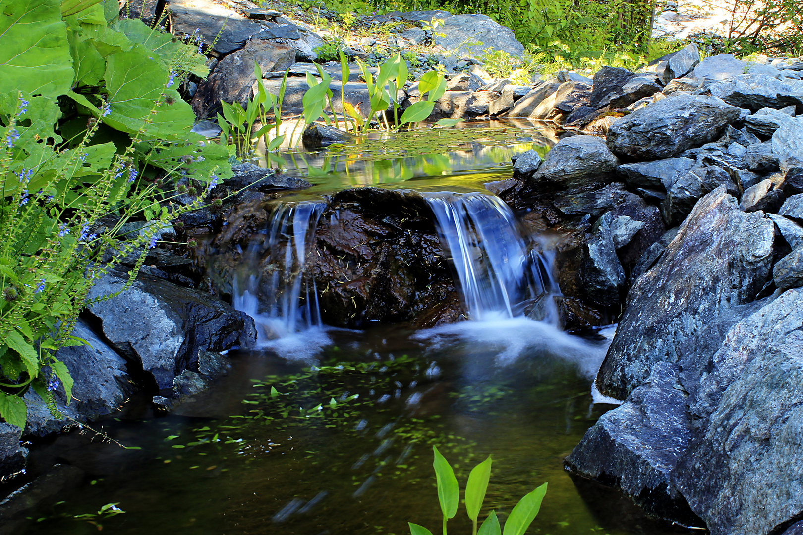 Botanischer Garten