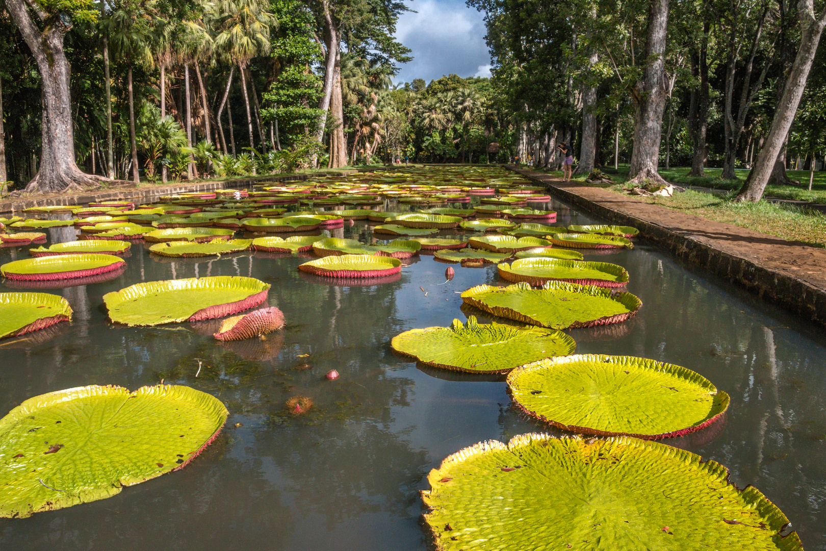 Botanischer Garten