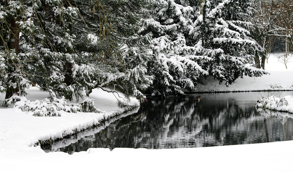 botanischer Garten 7