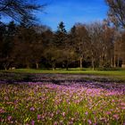 Botanischer Garten