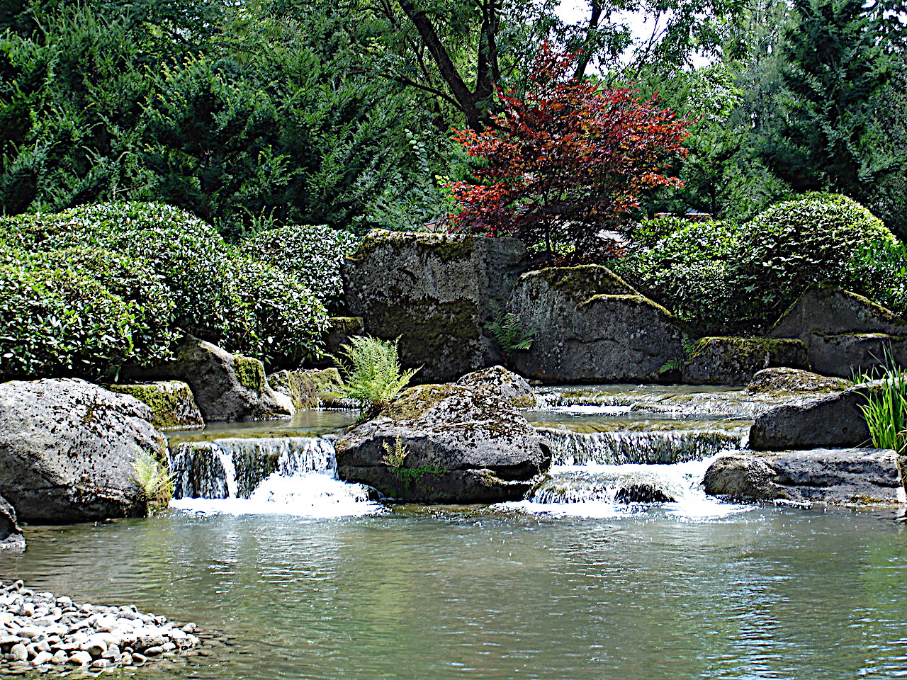 Botanischer Garten