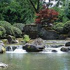 Botanischer Garten