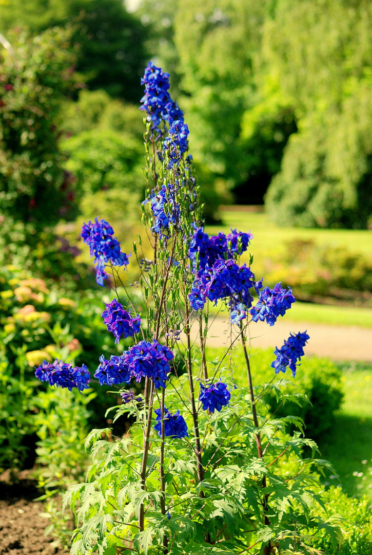 Botanischer Garten