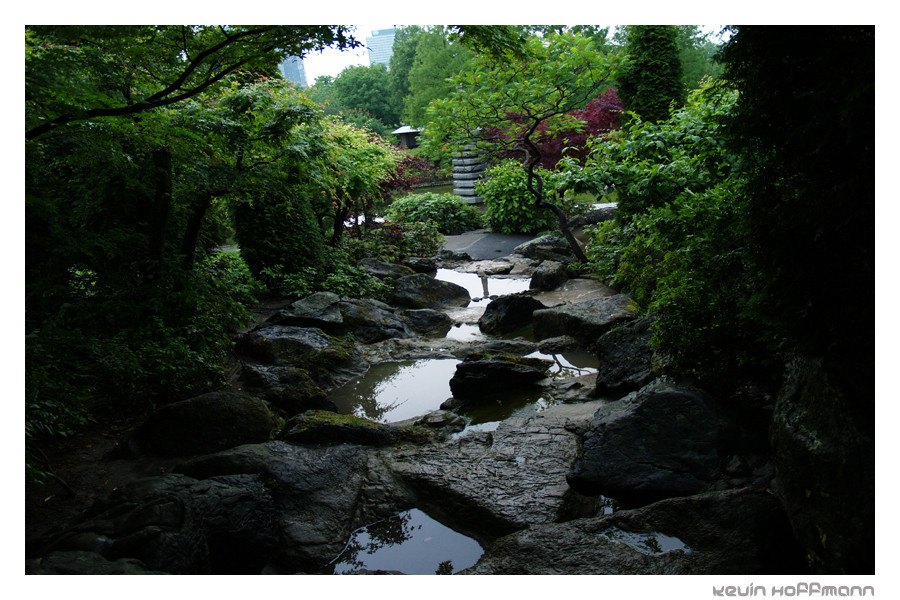 Botanischer Garten.