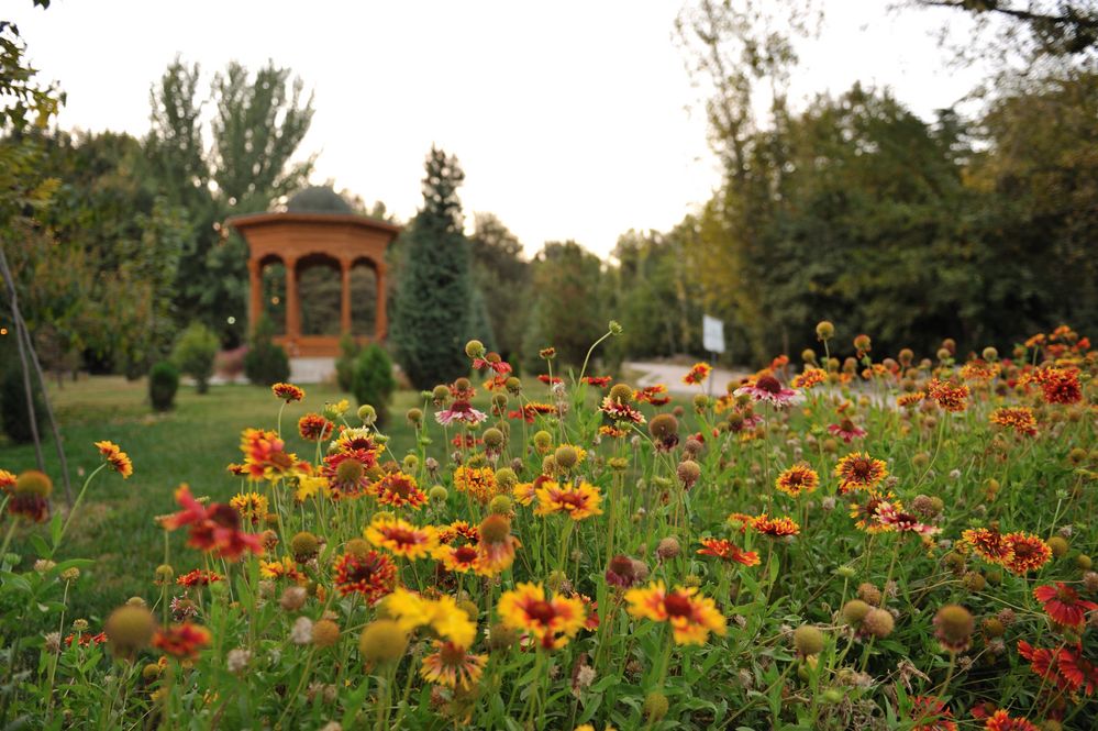 Botanischer Garten