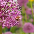 Botanischer Garten