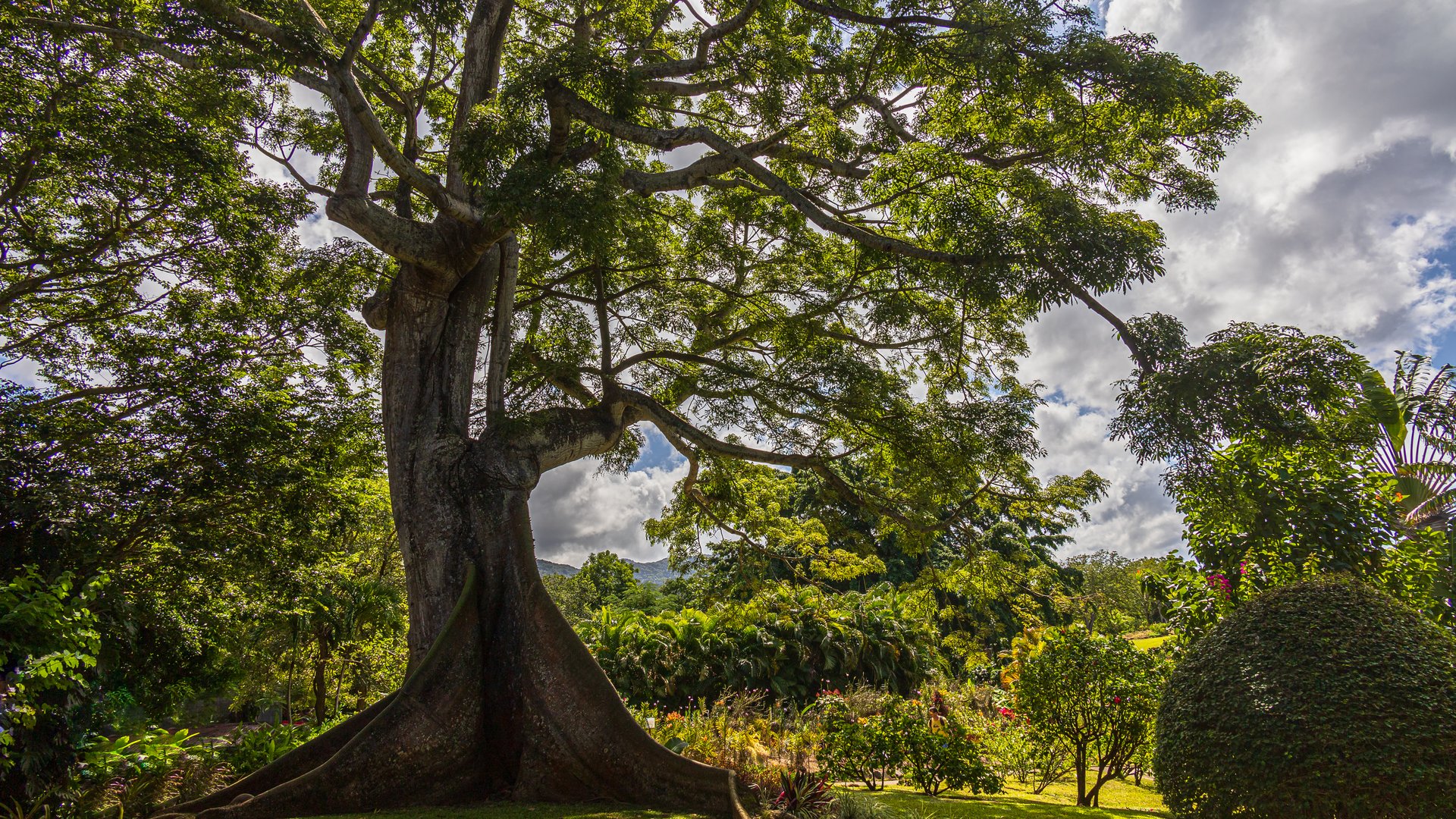 botanischer garten