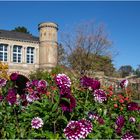 Botanischer Garten