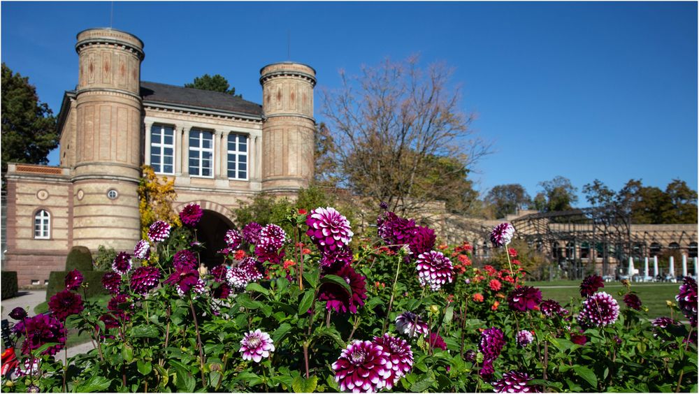 Botanischer Garten