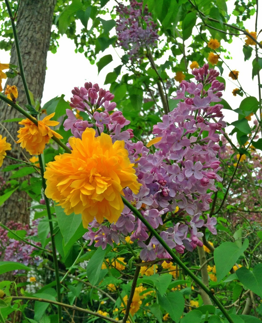 Botanischer Garten